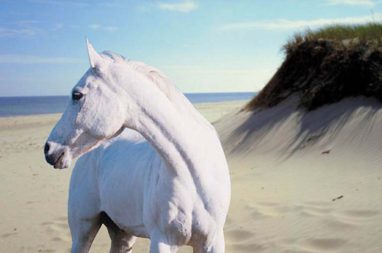 Microsoft Word - Doc1